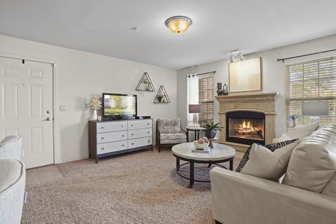 A living room with a fireplace and a television.