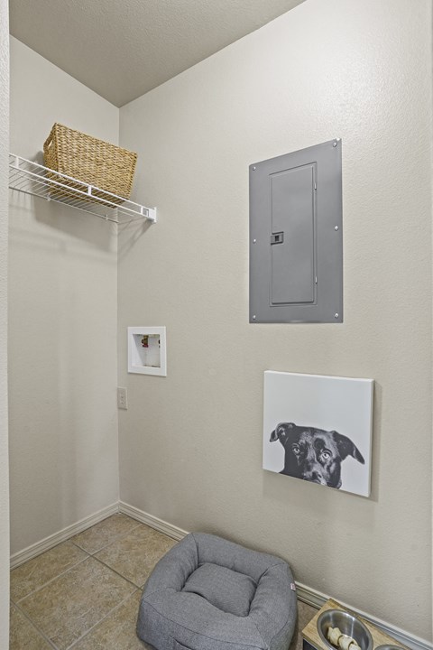 A small room with a grey bed, a basket on a shelf, and a picture of a dog on the wall.