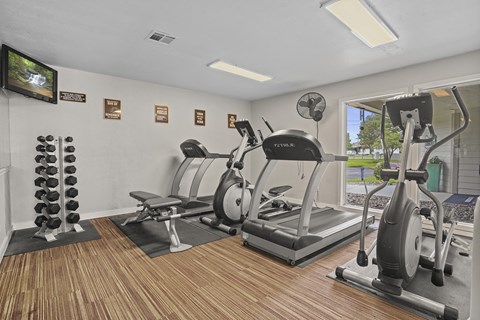 A gym with a treadmill, a stationary bike, and a rowing machine.