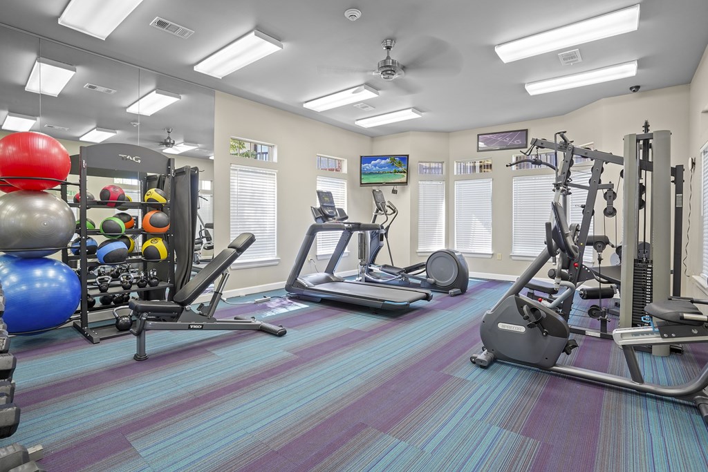 A gym with a variety of equipment including a treadmill, weights, and a television.