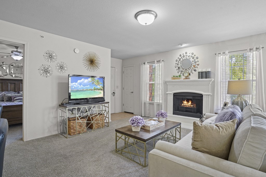 A living room with a fireplace and a television.