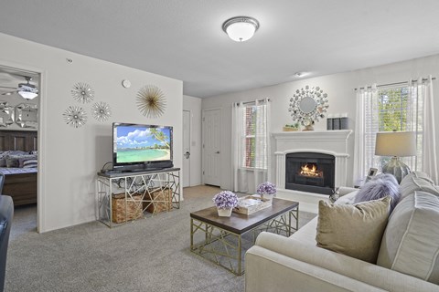 A living room with a fireplace and a television.