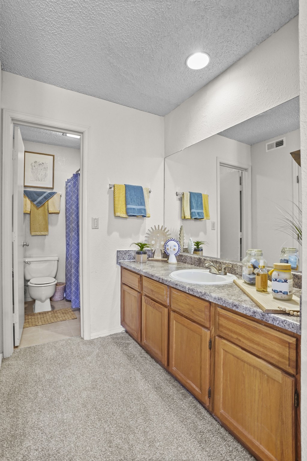A bathroom with a white toilet and a sink.