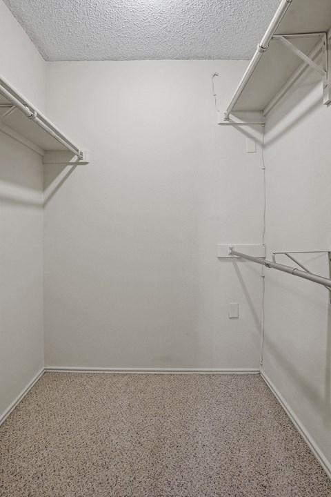 A white closet with a carpeted floor and a single shelf.