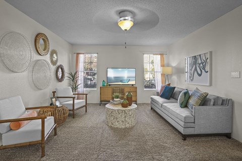 A living room with a grey couch and a television.
