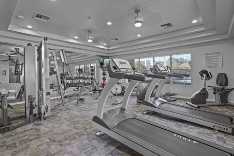 A gym with treadmills, weights, and exercise equipment.