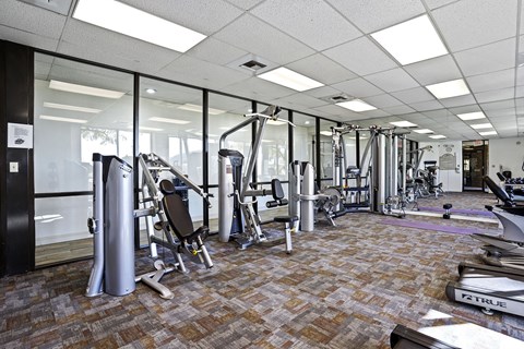 A gym with a variety of equipment including treadmills, weights, and exercise machines.