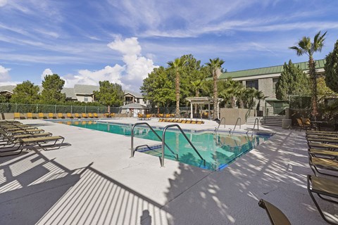 A large outdoor swimming pool surrounded by sun loungers and palm trees.