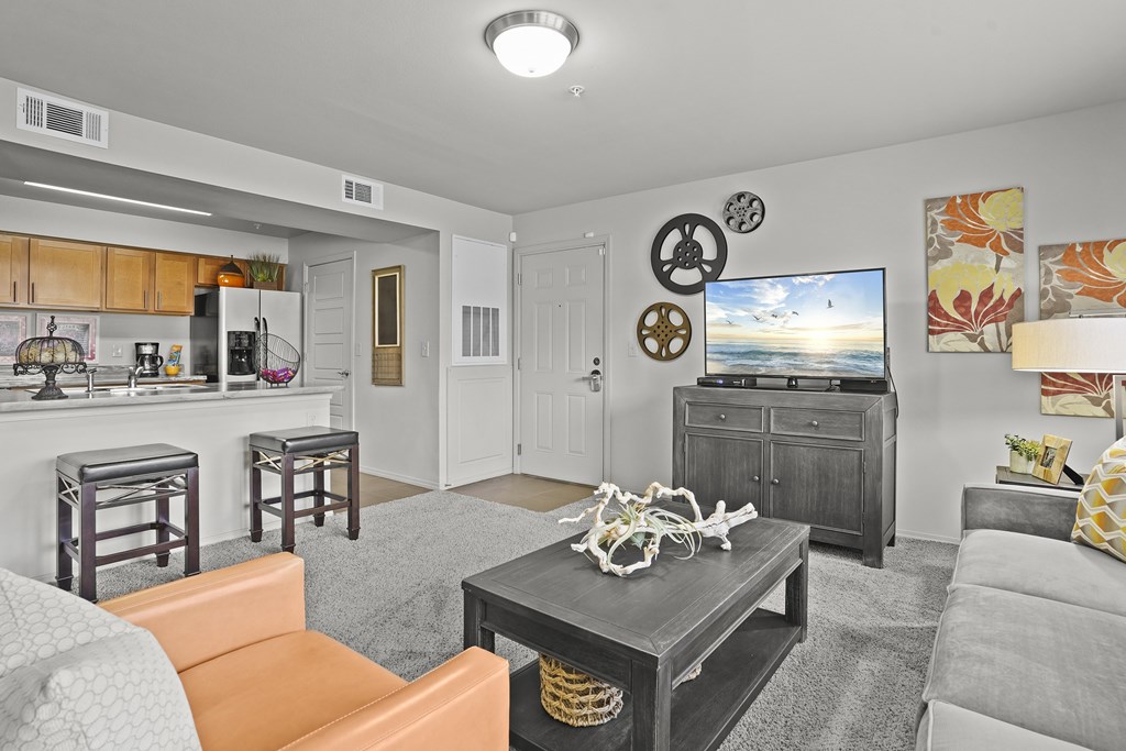 A living room with a grey couch, a coffee table, and a television.