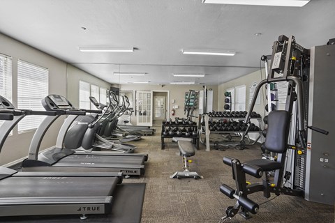 A gym with treadmills, weights, and exercise equipment.