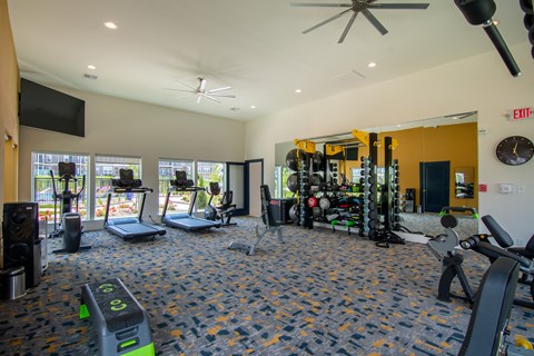 A gym with a variety of equipment including treadmills, weights, and a television.