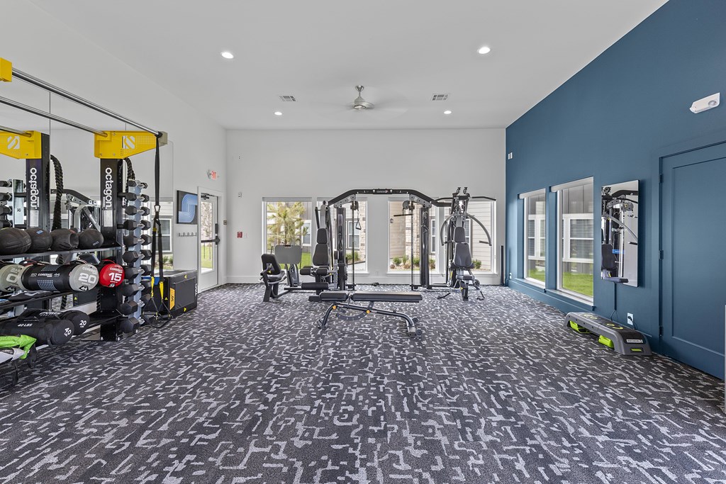 A gym with a variety of equipment including treadmills, weights, and a squat rack.