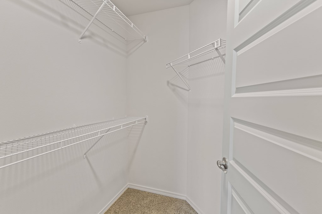 A white closet with shelves and a carpeted floor.