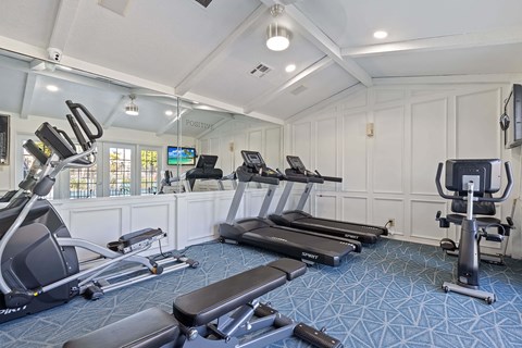 A gym with treadmills, elliptical machines, and a television.