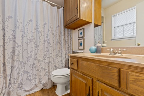 A bathroom with a toilet, sink, and shower curtain.