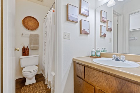 A bathroom with a white toilet, a wooden vanity, and a mirror.