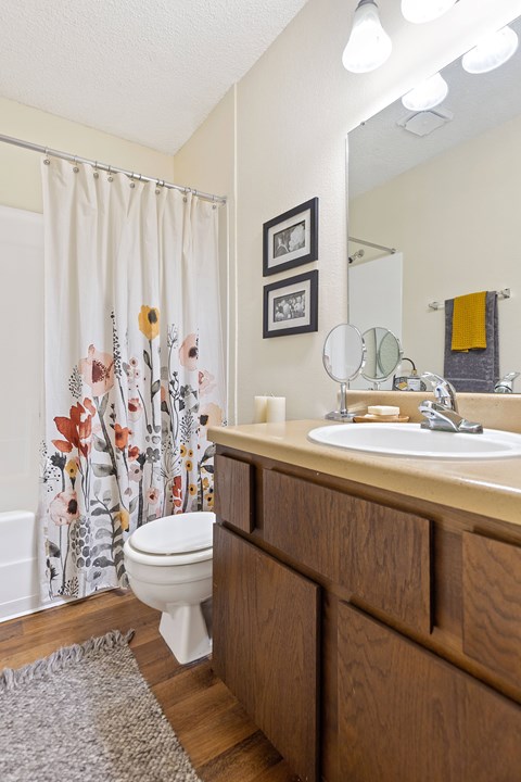 A bathroom with a toilet, sink, mirror, and shower curtain.