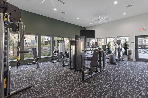 A gym with a variety of equipment including a weight bench, a rowing machine, and a treadmill.