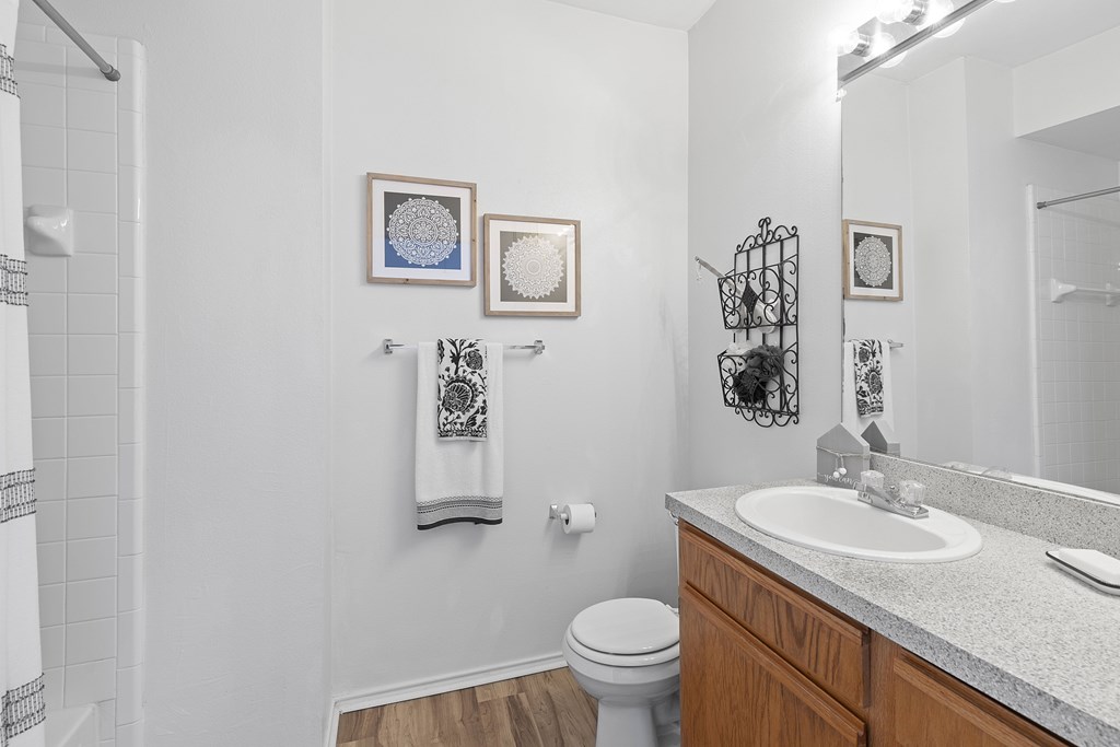 A bathroom with a toilet, sink, and mirror.