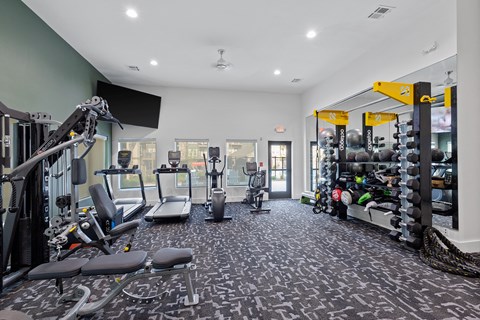 A gym with a variety of equipment including a treadmill, weights, and a bench press.