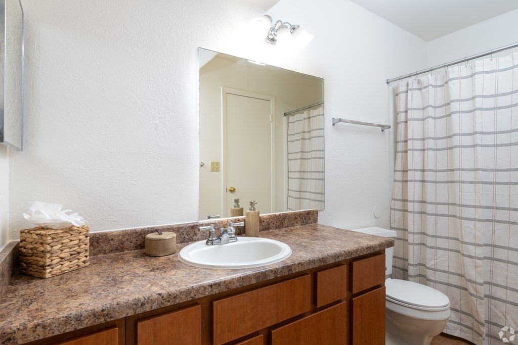 A bathroom with a brown countertop and a white toilet.