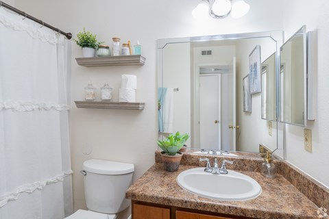 A bathroom with a toilet, sink, and mirror.