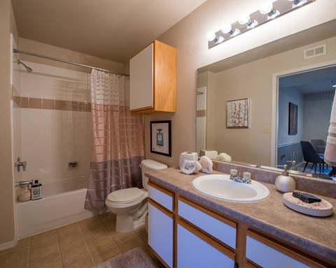 A bathroom with a toilet, sink, and shower.