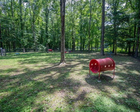 A red barrel sits in the middle of a grassy area with trees in the background.