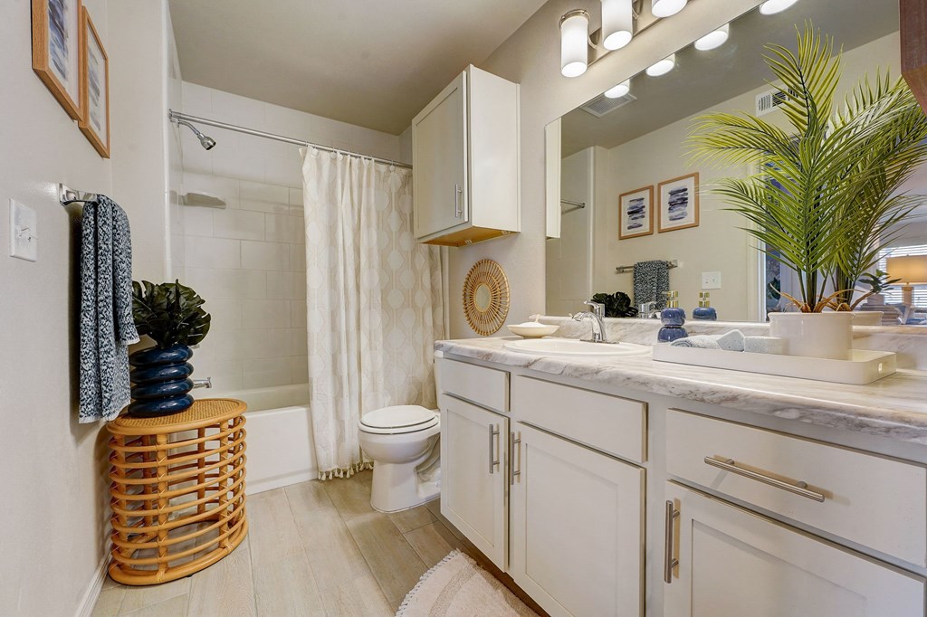 a bathroom with a sink and a toilet and a shower