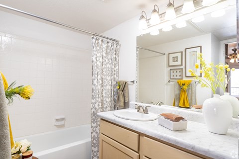 A bathroom with a white sink and a white vase.