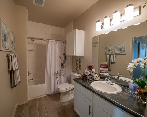 A bathroom with a toilet, sink, and shower.