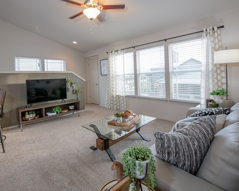 A living room with a grey couch, a glass coffee table, a television, and a ceiling fan.