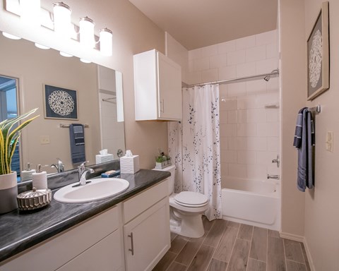 A bathroom with a sink, toilet, and shower.