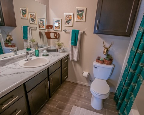 A bathroom with a white toilet and a sink.