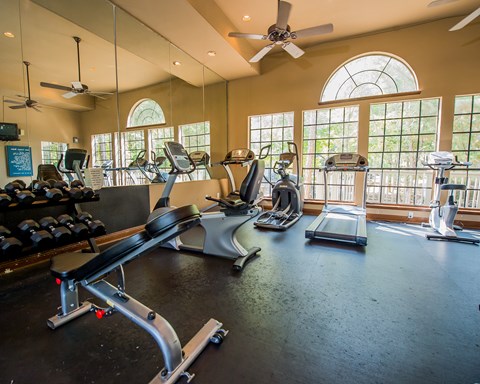 A gym with treadmills, elliptical machines, and a fan.