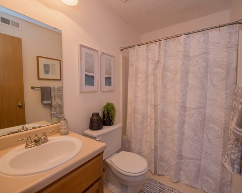 A bathroom with a white sink, toilet, and shower curtain.