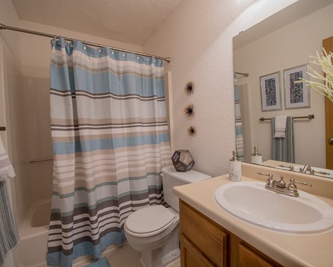 A bathroom with a toilet, sink, and shower curtain.