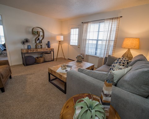 A living room with a grey couch, a wooden coffee table, and a green plant.