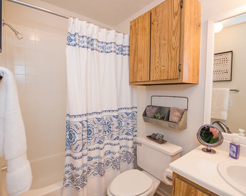A bathroom with a white toilet, a sink, and a shower curtain.