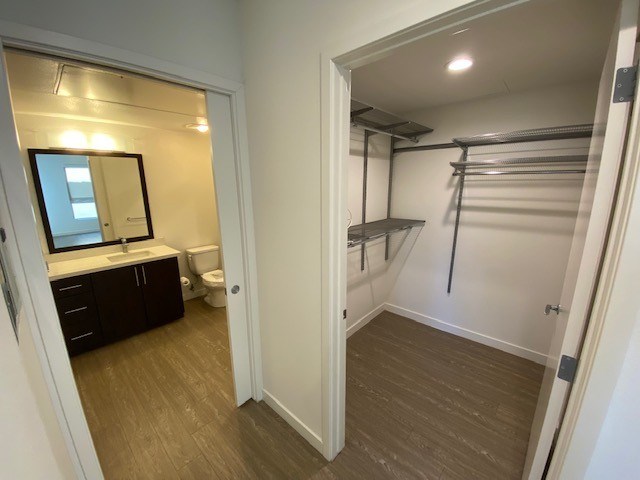 Walk-in closet and entrance to bathroom.