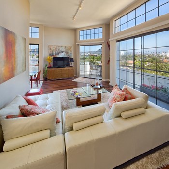 805 South Wooster Apartment living room with large private balcony - Photo Gallery 3