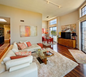 805 South Wooster Apartment living room with large private balcony - Photo Gallery 2