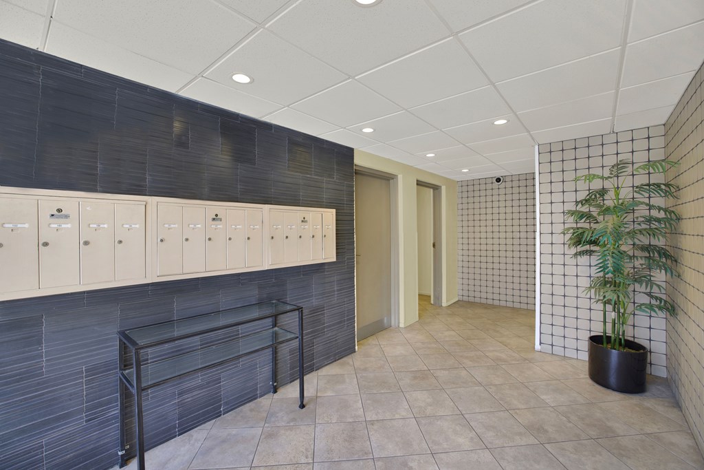 A hallway with a black and white tiled wall and a plant in a black pot.