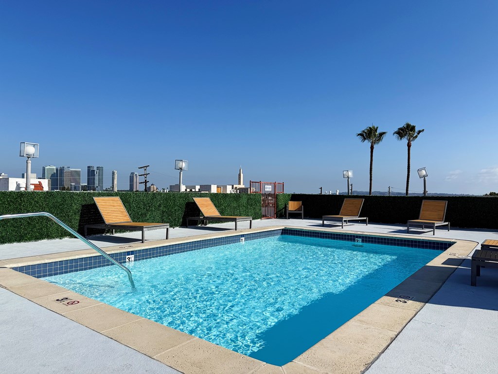 Swimming pool with lounge chairs and palm trees.