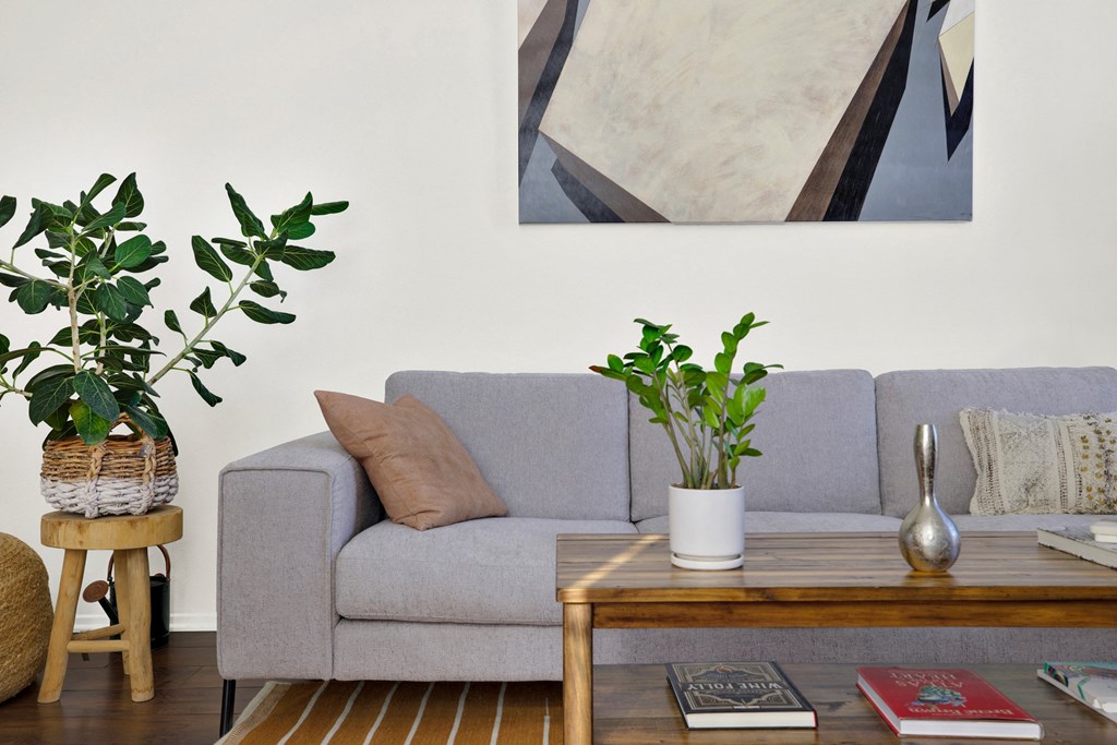 A grey couch with a plant on the table in front of it at Beverly Wooster Apartments, Los Angeles, CA 90035