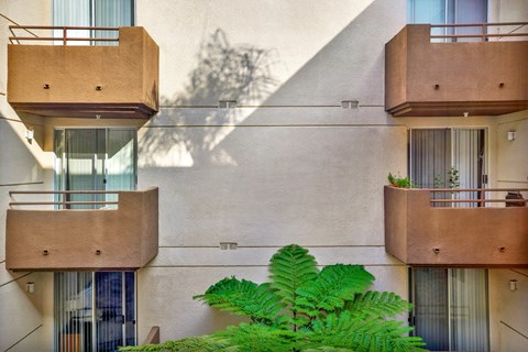 A building with balconies and a green plant in front at Peach Tree Court, Los Angeles, 90024