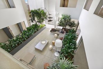 A living room with a couch, a table, and a potted plant at The Urbanpolitan, California 90036
