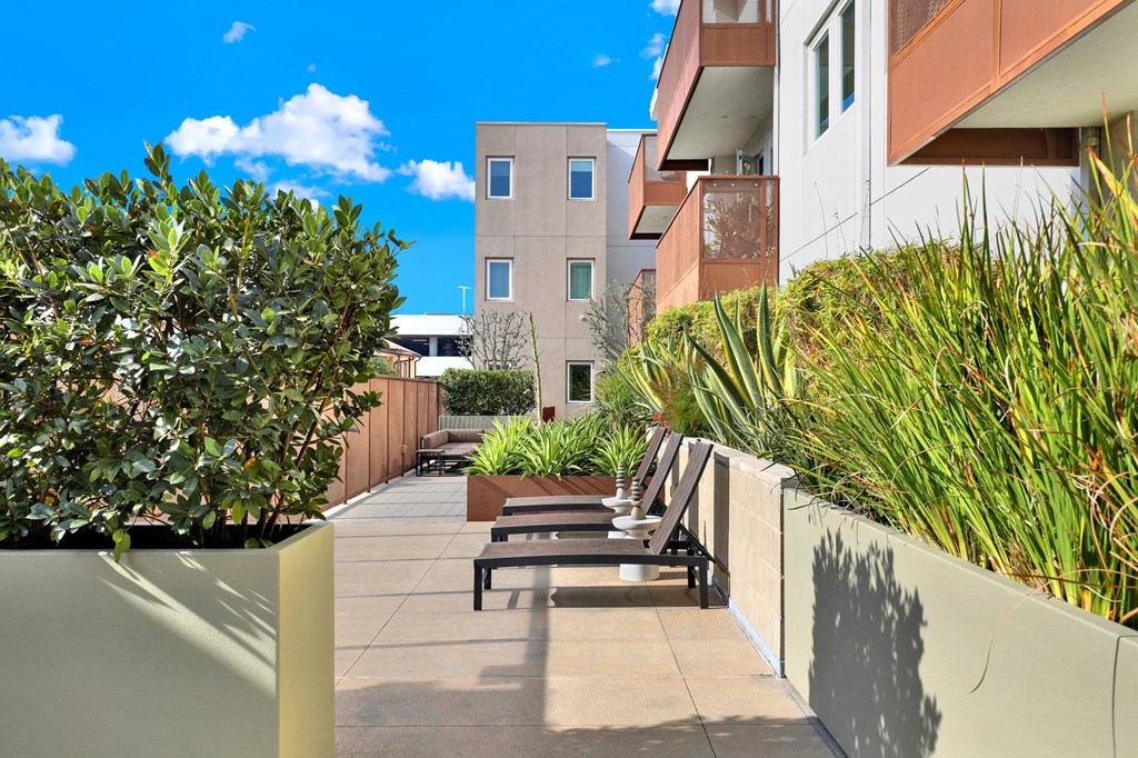 A sunny day in a courtyard with a bench and a building in the background at The Urbanpolitan, Los Angeles, CA 90036
