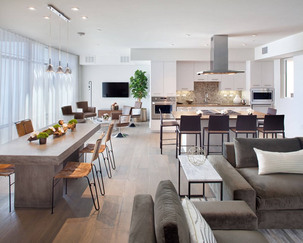 Community lounge with dining, kitchen and furniture