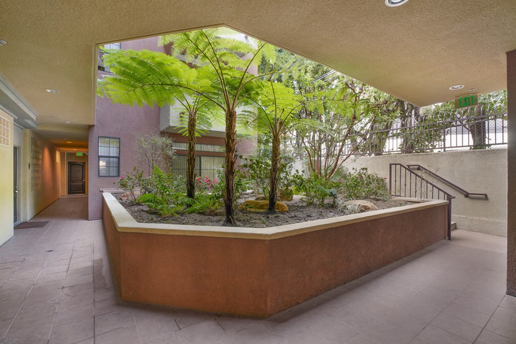 Apartment courtyard with palm trees